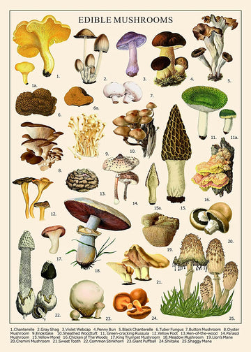 Bboldin® Vintage Mushroom Jigsaw Puzzle 1000 Pieces